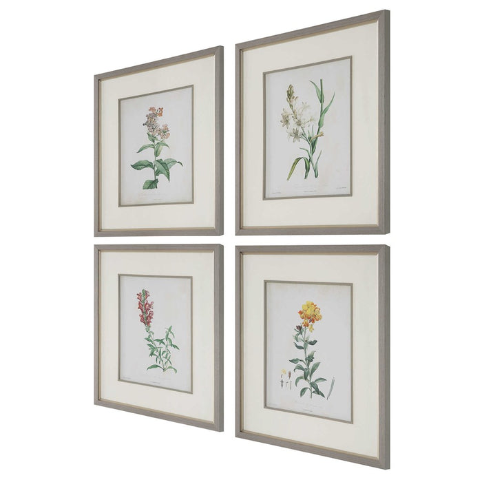 HEIRLOOM BLOOMS STUDY FRAMED PRINTS, S/4