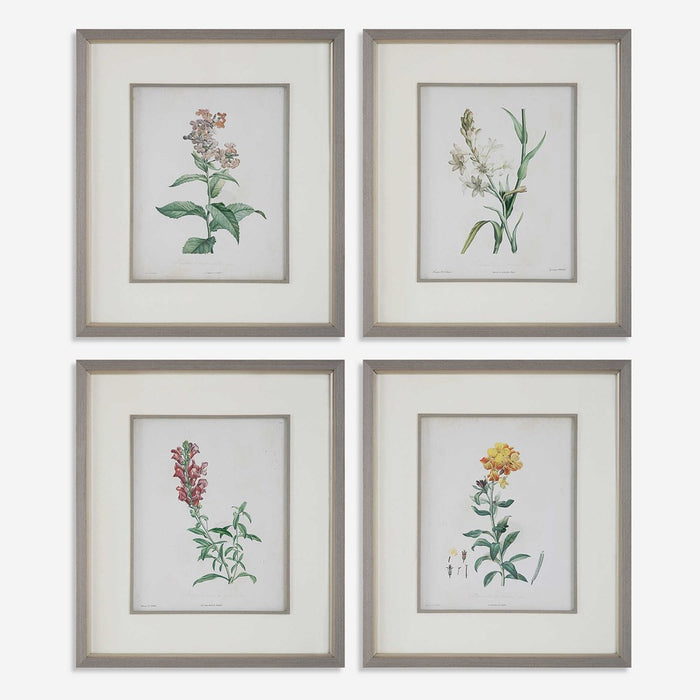 HEIRLOOM BLOOMS STUDY FRAMED PRINTS, S/4