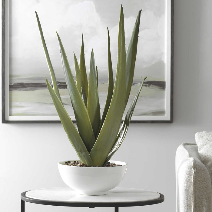 EVARADO ALOE PLANTER