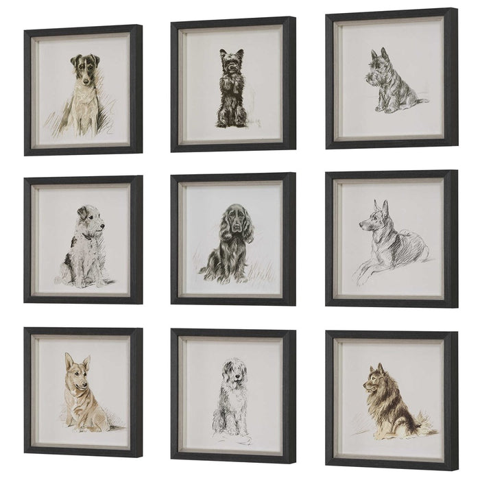 LOYAL COMPANION FRAMED PRINTS, S/9