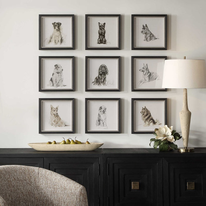 LOYAL COMPANION FRAMED PRINTS, S/9