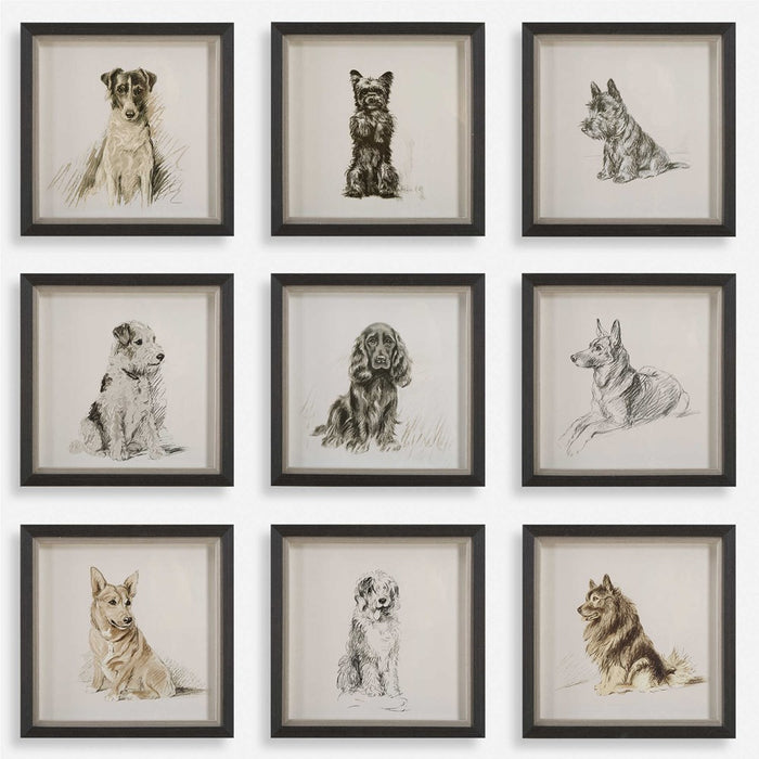 LOYAL COMPANION FRAMED PRINTS, S/9