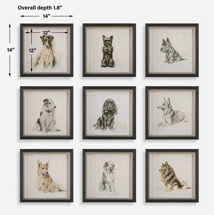 LOYAL COMPANION FRAMED PRINTS, S/9