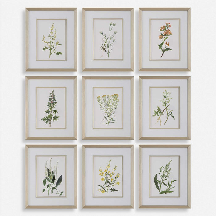 BOTANICAL FLOWERS FRAMED PRINTS, S/9