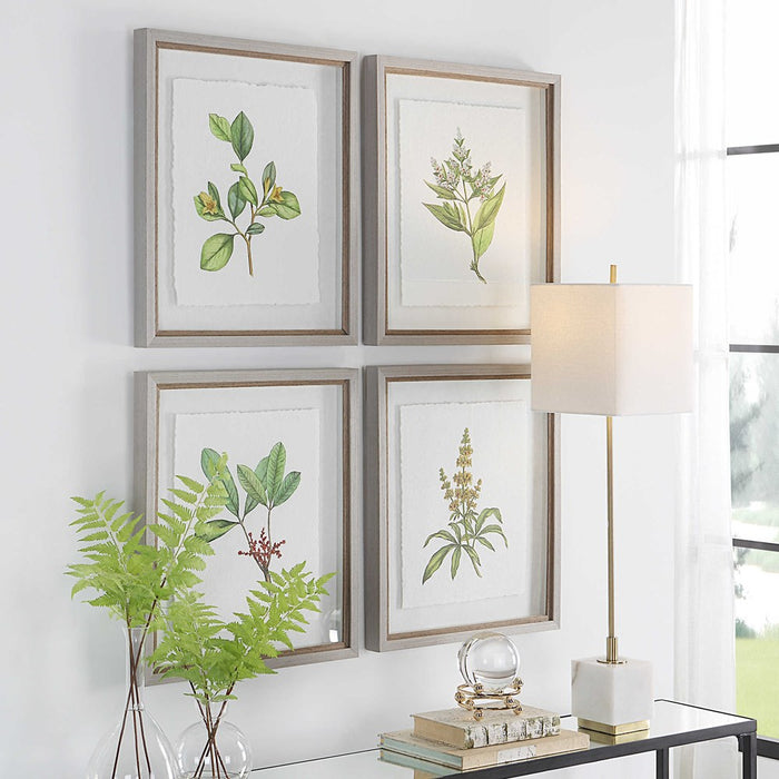 WILDFLOWER STUDY FRAMED PRINTS, S/4