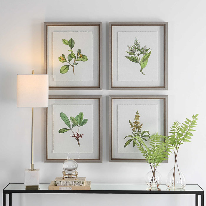 WILDFLOWER STUDY FRAMED PRINTS, S/4