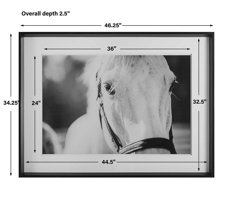 EYES ON THE PRIZE FRAMED PRINT