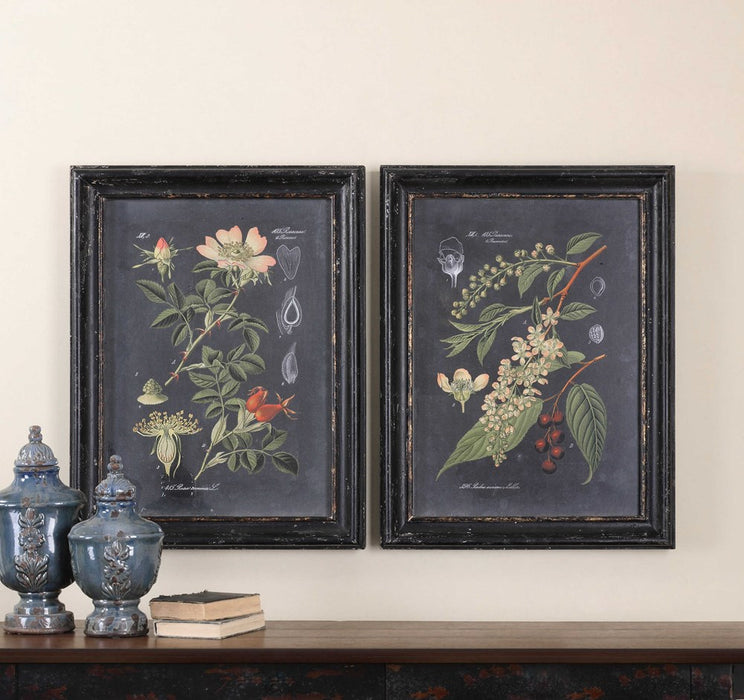 MIDNIGHT BOTANICALS FRAMED PRINTS, S/2