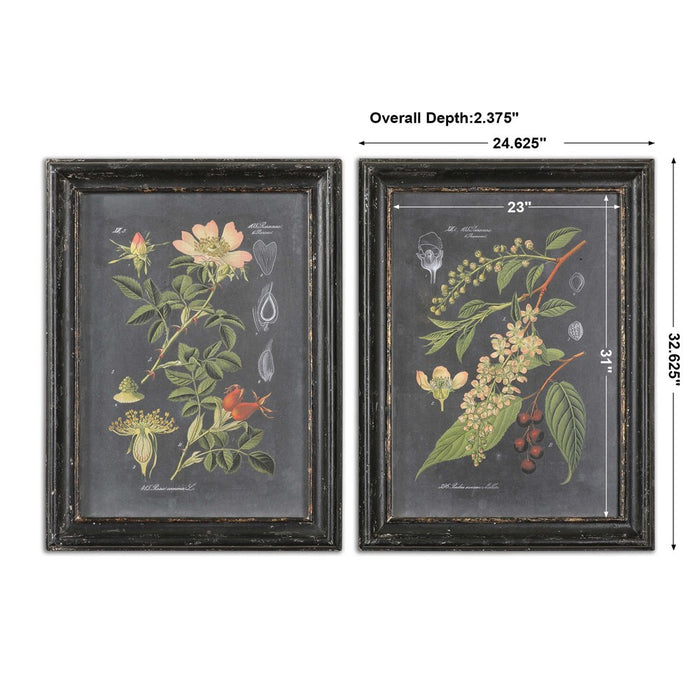 MIDNIGHT BOTANICALS FRAMED PRINTS, S/2