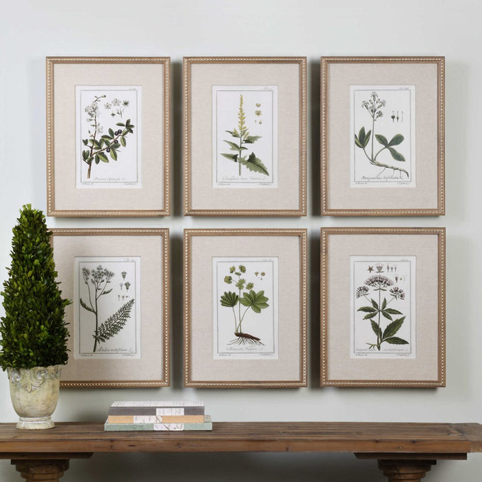 GREEN FLORAL BOTANICAL STUDY FRAMED PRINTS, S/6