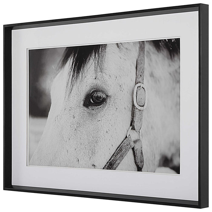 EYE OF THE BEHOLDER FRAMED PRINT