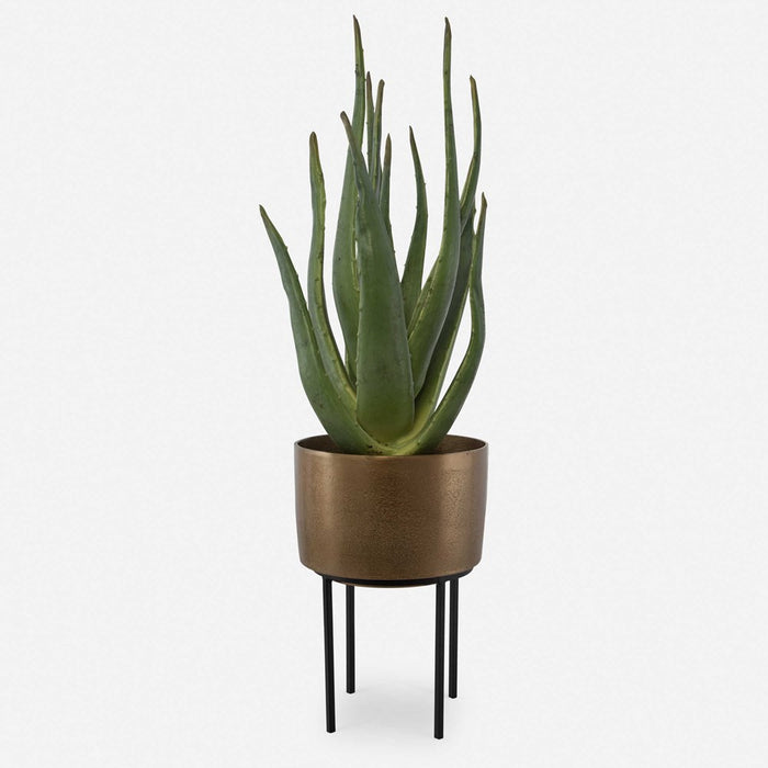 ARABIA ALOE PLANTER, 2 CARTONS