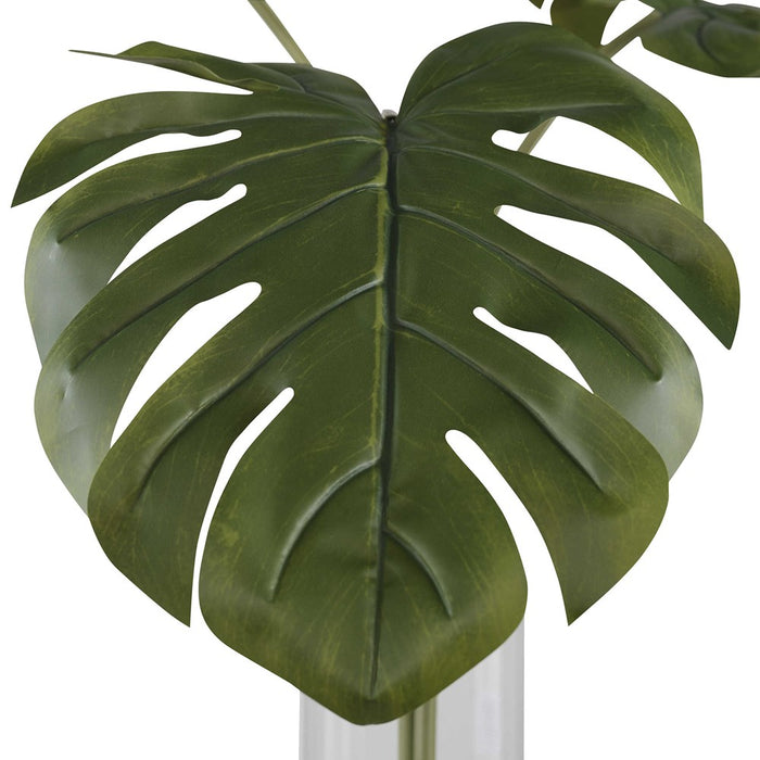 IBERO SPLIT LEAF PALM