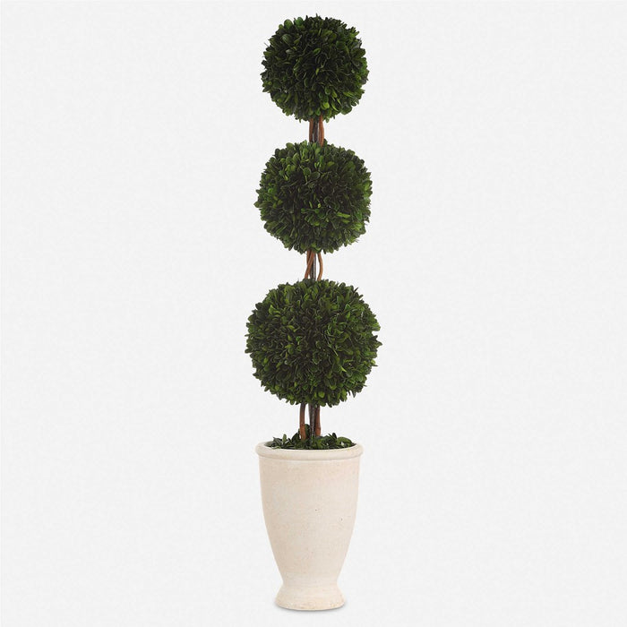 PRESERVED BOXWOOD TRIPLE TOPIARY