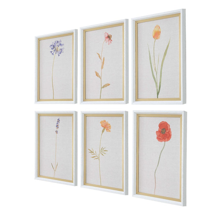 WILD FLOURISH FRAMED PRINTS, S/6