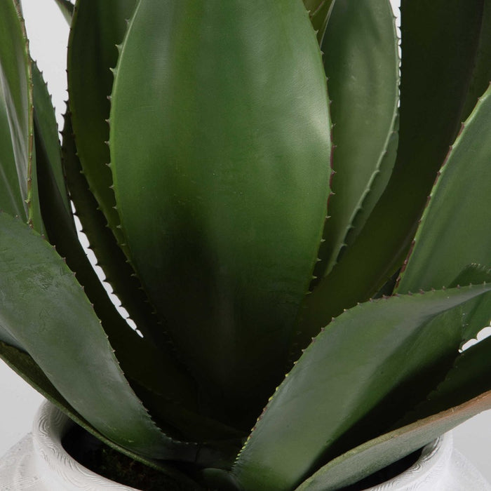 TIERRA AGAVE CENTERPIECE