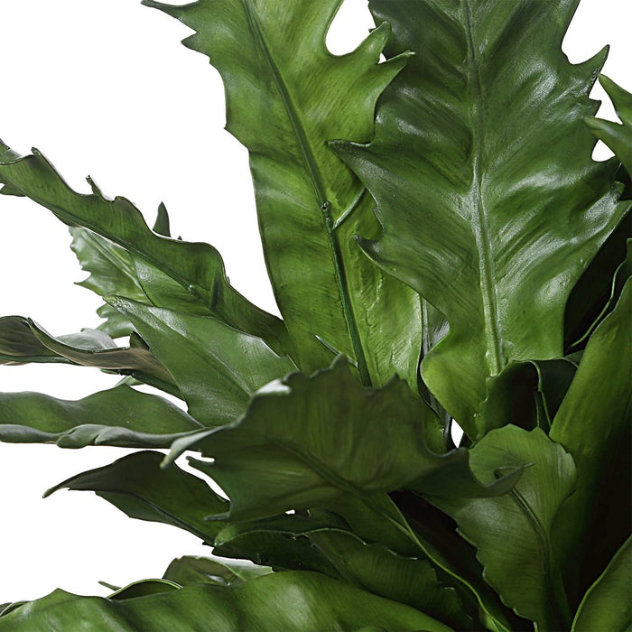 VERDURE FERN