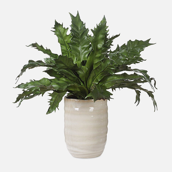 VERDURE FERN