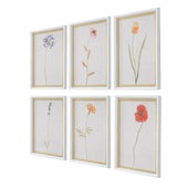 Wild Flourish Framed Prints, S/6