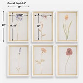 Wild Flourish Framed Prints, S/6