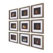 Resting Bunny Framed Prints, S/9