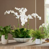 Flourish Orchid Centerpiece