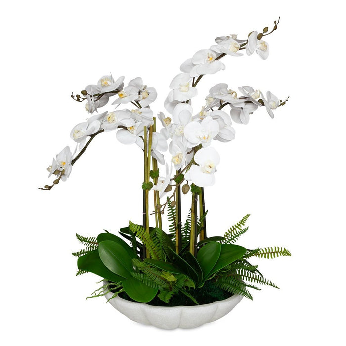 Flourish Orchid Centerpiece