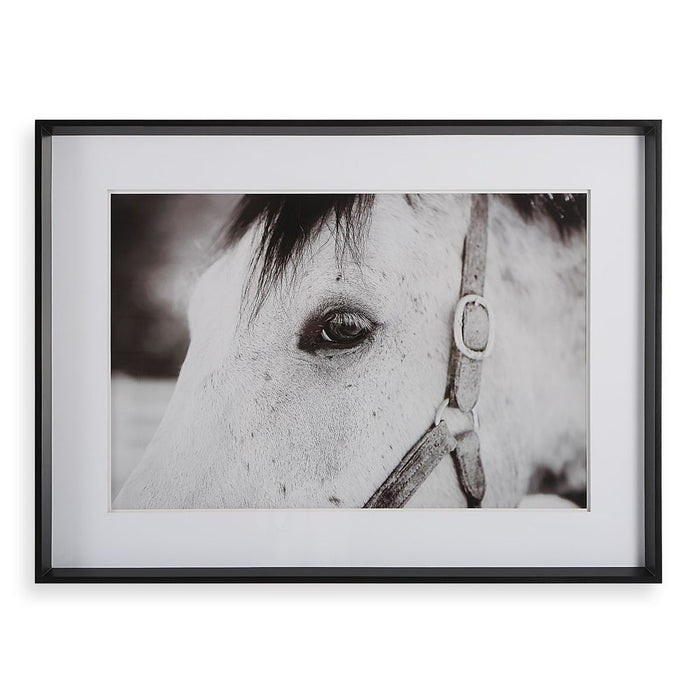 Eye Of The Beholder Framed Print