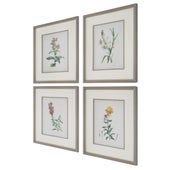 Heirloom Blooms Study Framed Prints, S/4