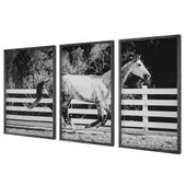 Galloping Forward Framed Prints, S/3