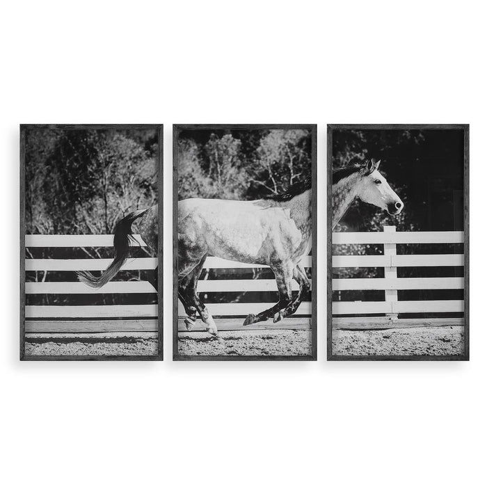 Galloping Forward Framed Prints, S/3