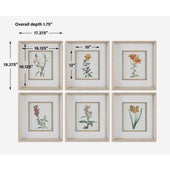 Classic Botanicals Framed Prints, S/6