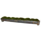 Canal Moss Centerpiece, Large