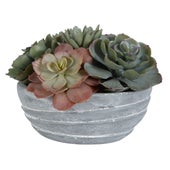 Peoria Succulent Accent