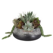 Gobi Succulent Centerpiece