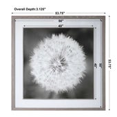 Dandelion Seedhead Framed Print