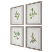 Wildflower Study Framed Prints, S/4