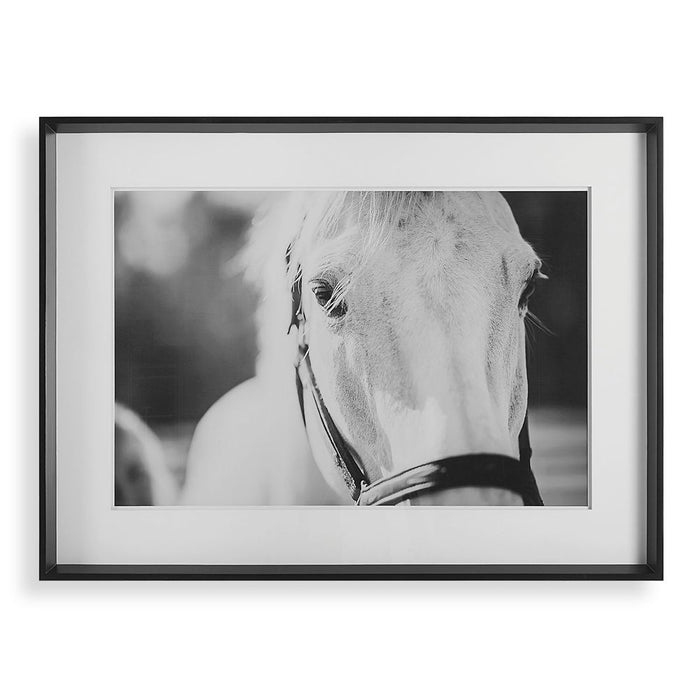 Eyes On The Prize Framed Print