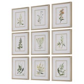 Botanical Flowers Framed Prints, S/9