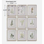 Botanical Flowers Framed Prints, S/9