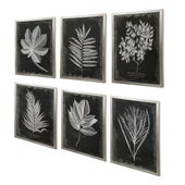 Foliage Framed Prints, S/6