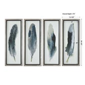 Feathered Beauty Framed Prints, S/4