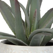 Taos Aloe Centerpiece