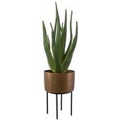 Arabia Aloe Planter, 2 CARTONS