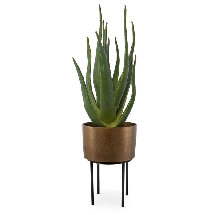 Arabia Aloe Planter, 2 CARTONS